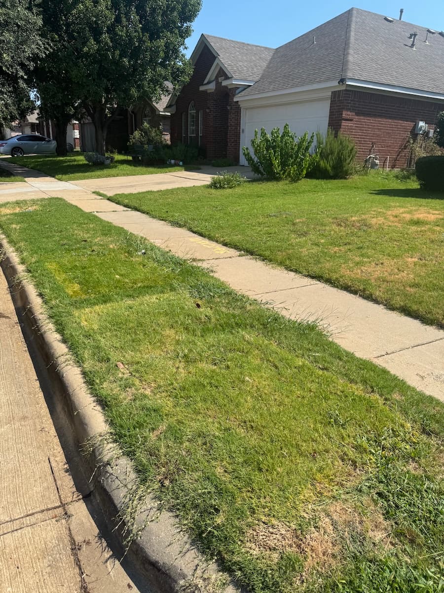 Junk removal in Denton, TX